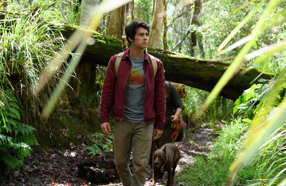 Netflix: los estrenos del miércoles 14 de abril