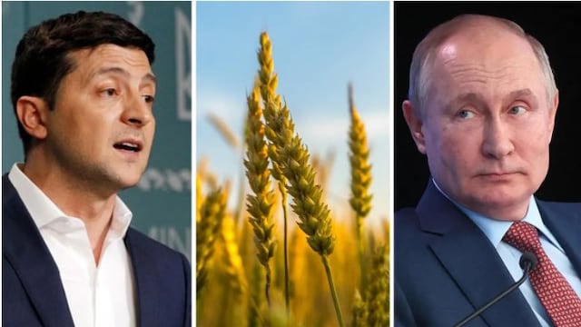 Trigo, precios en alza por la guerra