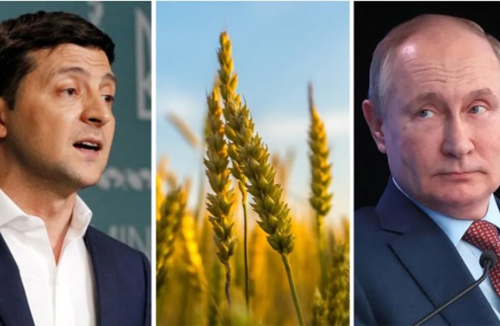 Escenario para la producción agropecuaria Ucraniana