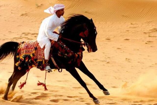 Caballo Árabe corriendo en el desierto