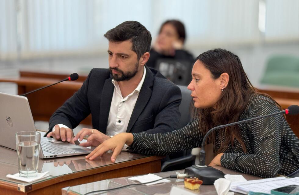 Juan Senn y Valeria Soltermam presentaron un proyecto para la creación del Comité de seguimiento ODESUR 2026