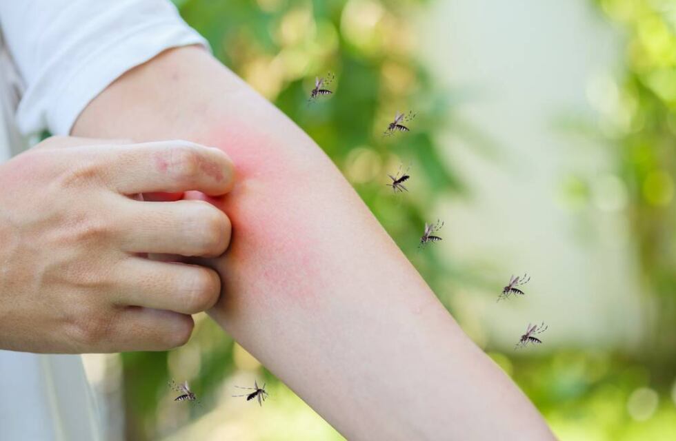 Hartos de los mosquitos, un grupo cuartetero de Córdoba les dedicó una canción