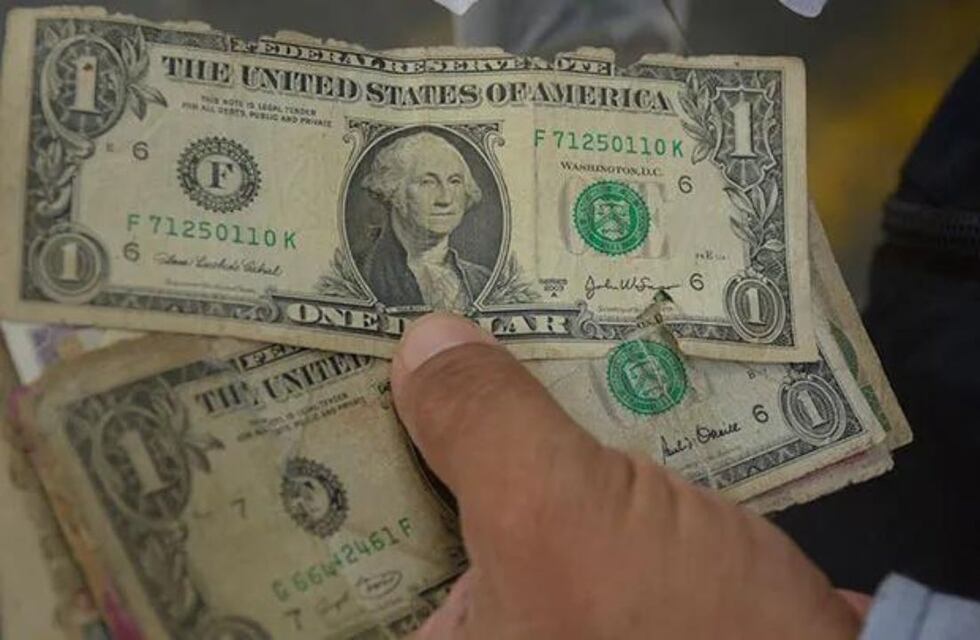Dólares: qué hacer con los billetes rotos o dañados