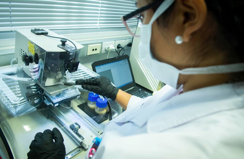 Coronavirus en Arroyito: 7 nuevos casos y 2 personas recuperadas