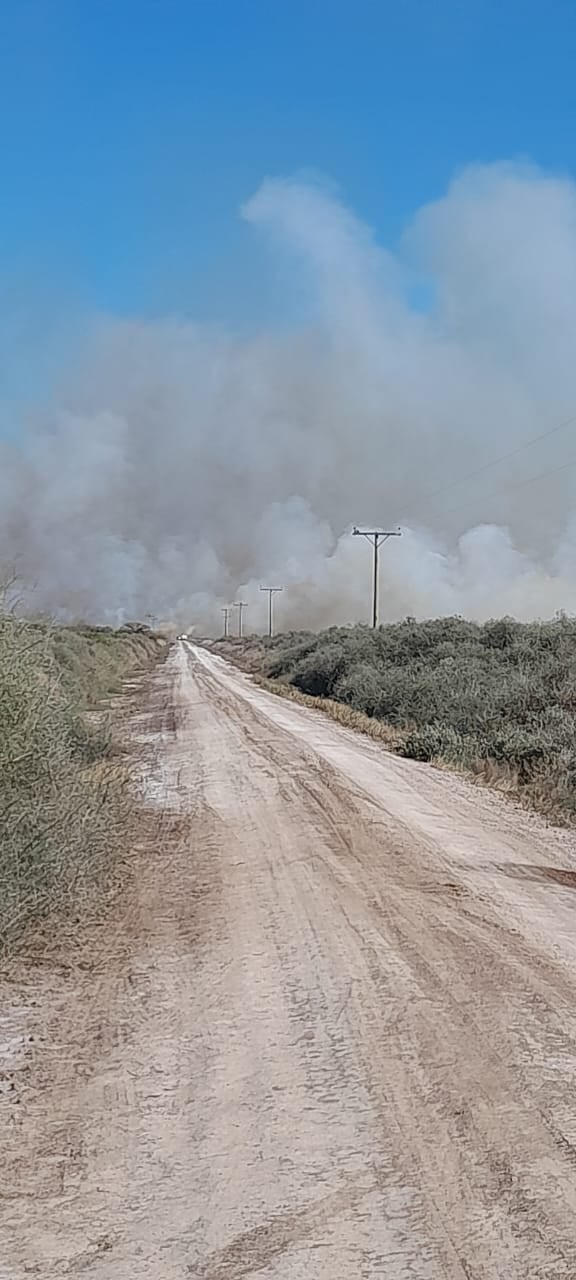 El incendio que se produjo en la zona de Colonia Marina, fue el más grande e importante de la jornada. (Gentileza)