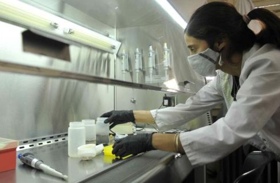 Coronavirus en Pérez: 13 casos nuevos reportados