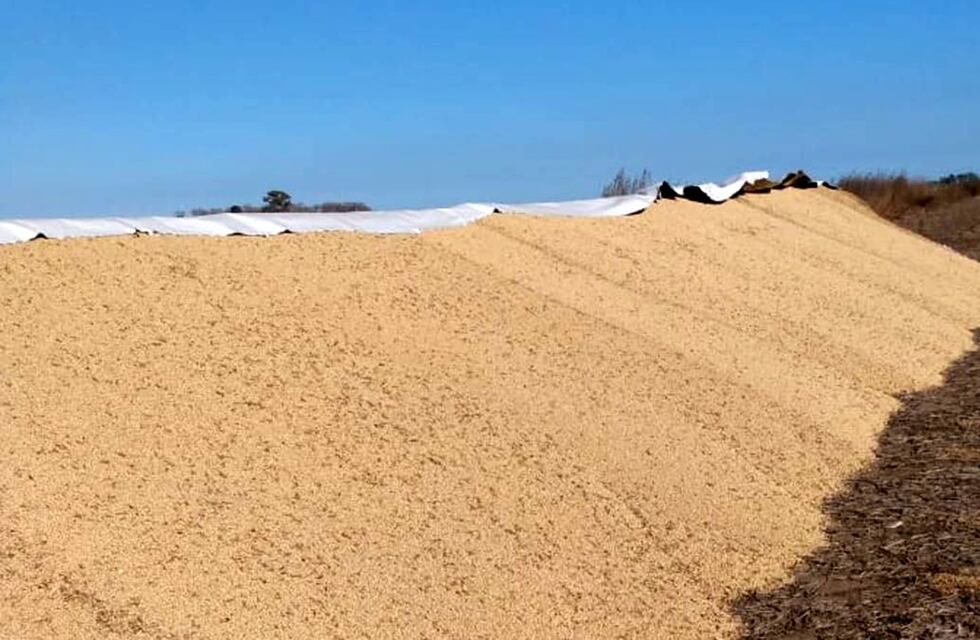 Nuevo ataque al campo, en el sur de Córdoba
