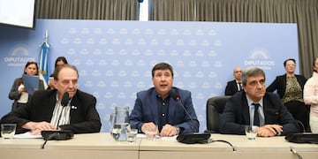 Obtuvo dictamen la emergencia en discapacidad en un plenario de comisiones (Foto: HCDN)
