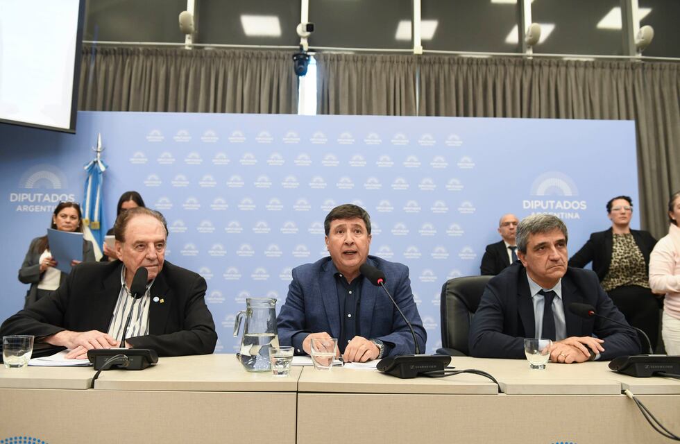 La oposición avanza con una ley rechazada por el Gobierno para declarar la emergencia en discapacidad