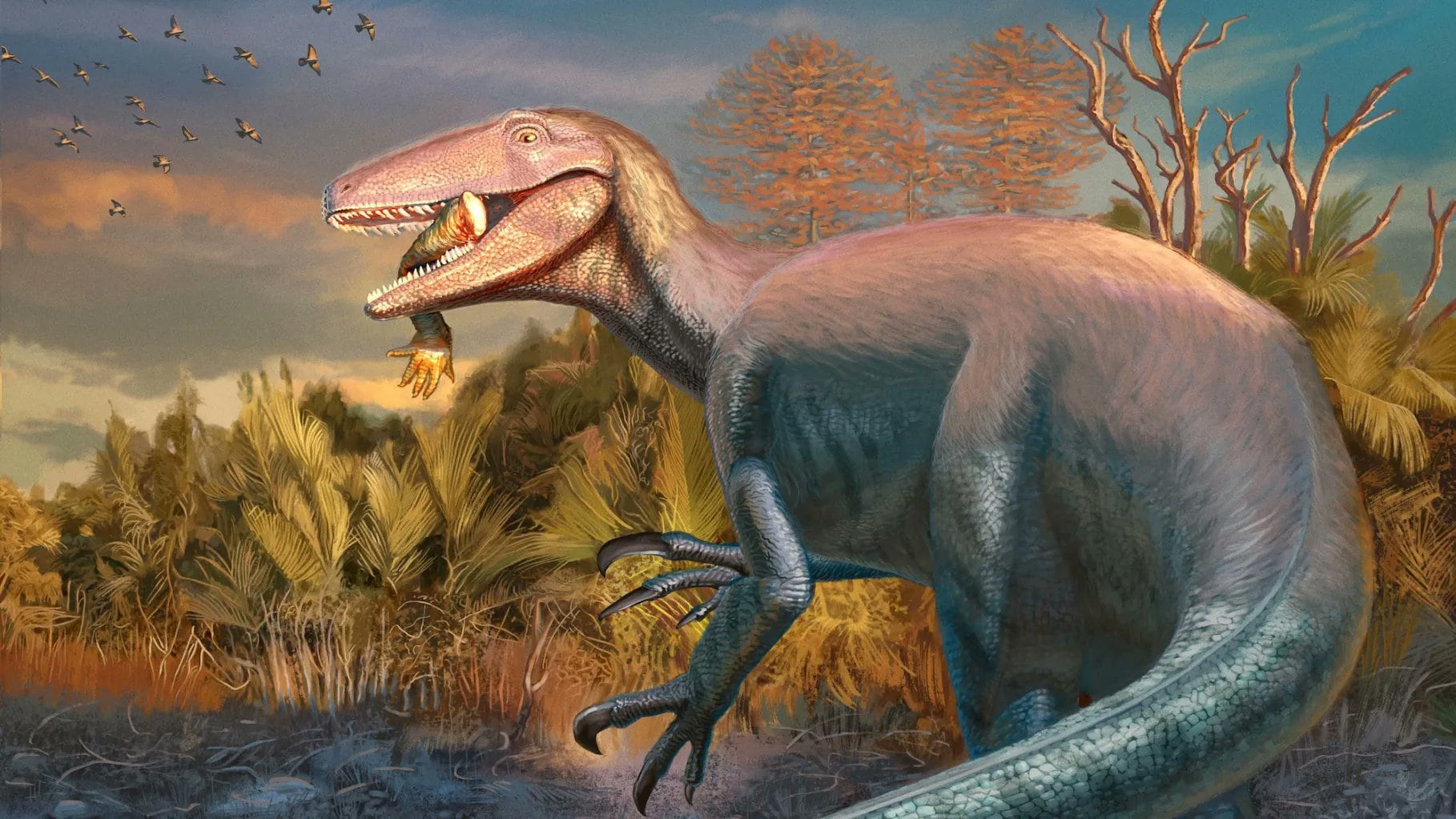 Joaquinraptor casali, un depredador argentino
