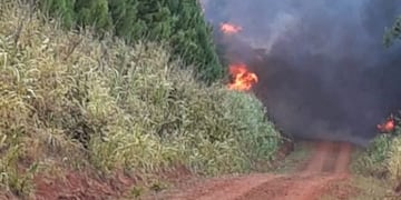 Feroz incendio en inmediaciones de comunidad aborigen en Capioví.