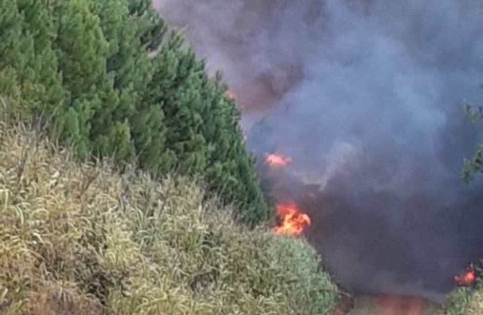Feroz incendio en inmediaciones de comunidad aborigen en Capioví