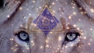 Qué es el 8/8/8 y cómo hacer el ritual para abrir el Portal del León