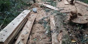 Tres jóvenes fueron detenidos acusados de robar madera. Policía de Misiones