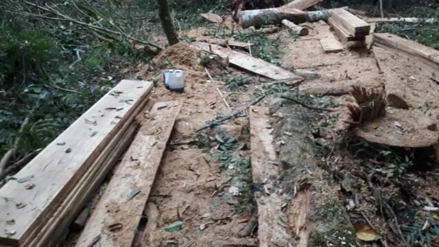 Tres jóvenes fueron detenidos acusados de robar madera. Policía de Misiones