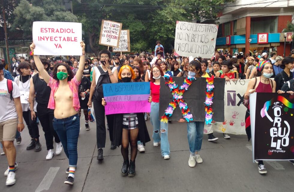 Marcha del Orgullo LGBTQI+ en Mendoza: pidieron una ley integral trans