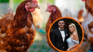 ¿Mauro Icardi también? Para qué sirve el ritual con gallinas que hacía el abogado de Wanda Nara