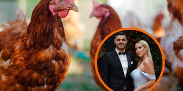 ¿Mauro Icardi también? Para qué sirve el ritual con gallinas que hacía el abogado de Wanda Nara