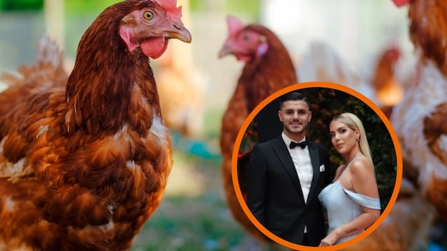 ¿Mauro Icardi también? Para qué sirve el ritual con gallinas que hacía el abogado de Wanda Nara