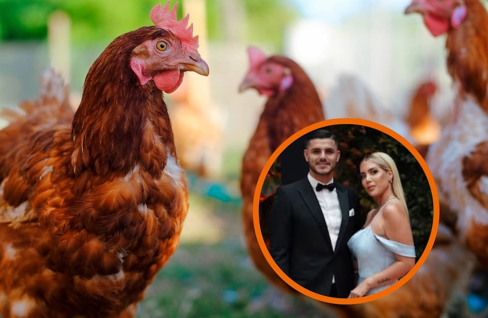 ¿Mauro Icardi también? Para qué sirve el ritual con gallinas que hacía el abogado de Wanda Nara