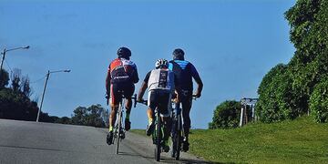 Ciclistas en ruta.