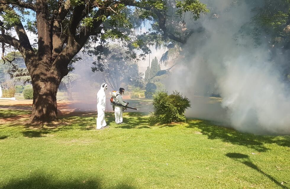 Invasión de mosquitos en Tres Arroyos: fumigarán plazas y lugares verdes de forma terrestre