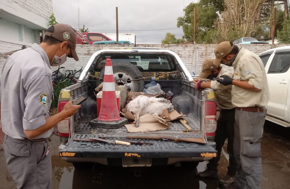 Guardaparques detuvieron a cazadores furtivos en La Payunia