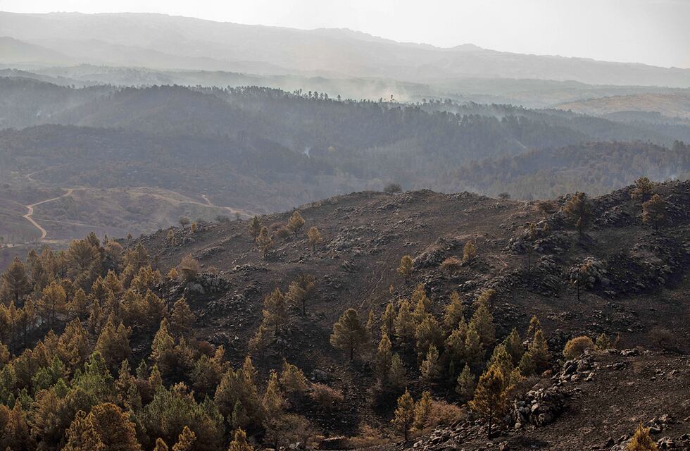 Clima en Córdoba: con alerta por vientos, así estará el tiempo este jueves 5 de septiembre