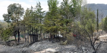 Fin de semana crítico y catastrófico -con el viento Zonda se propagaron distintos focos de incendio que consumieron a unas 2.500 hectáreas en el piedemonte de Luján de Cuyo.