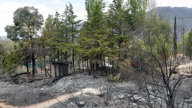 Fin de semana crítico y catastrófico -con el viento Zonda se propagaron distintos focos de incendio que consumieron a unas 2.500 hectáreas en el piedemonte de Luján de Cuyo.