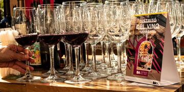 Buenos Aires, Córdoba, Formosa, Mendoza, Misiones, Santa Fe y Tierra del fuego son parte de las localidades que disfrutarán la Noche de las Vinotecas.