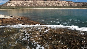 Isla europea: se la conoce como la Mykonos argentina y es ideal para visitar en las vacaciones de verano 2025.