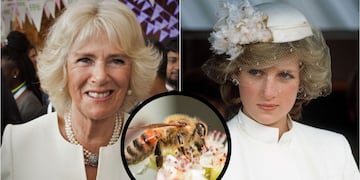 Para lucir como Lady Di: de qué se trata el tratamiento de veneno de abejas que usa Camila Parker.