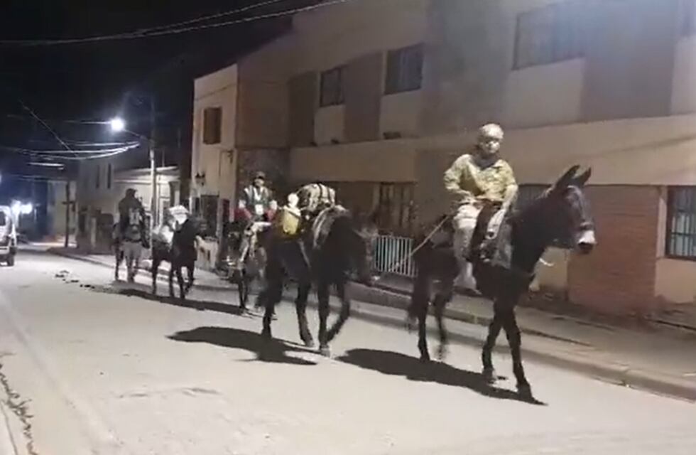 Video: cómo fue el traslado a lomo de mula de las urnas para las PASO en algunas localidades de Jujuy