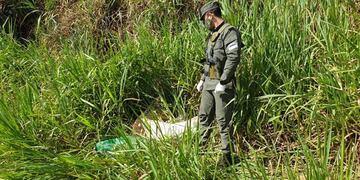 Incautaron más de 55 kilogramos de marihuana en Puerto Iguazú. Gendarmería Nacional