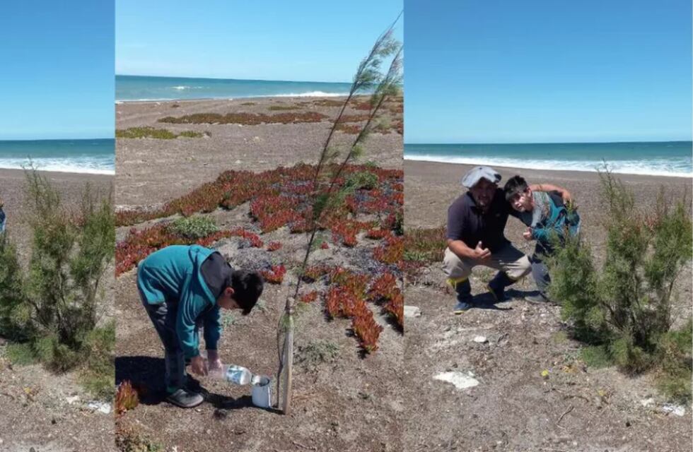 Un hombre y su hija plantan árboles en la costa para forestar la zona