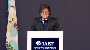 Javier Milei presentará el Presupuesto 2025 en el Congreso: todo lo qué hay que saber antes. (Captura de video).