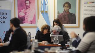 Carolina Gaillard, presidenta de la Comisión de Juicio Político (Foto: Federico López Claro)