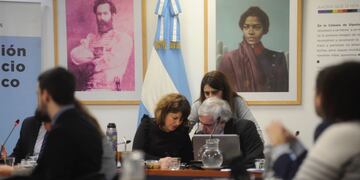 Carolina Gaillard, presidenta de la Comisión de Juicio Político (Foto: Federico López Claro)