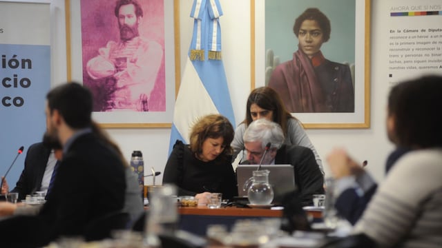 Carolina Gaillard, presidenta de la Comisión de Juicio Político (Foto: Federico López Claro)