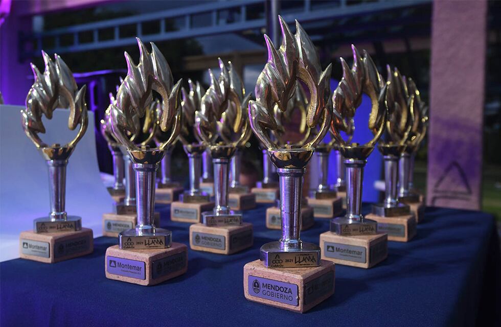 Se vienen los Premios Llama 2022: cuándo es y qué deportistas mendocinos están nominados