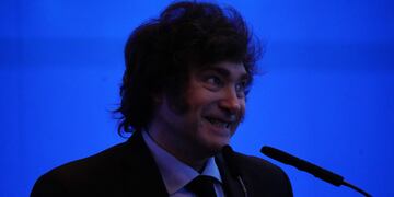 El Presidente habló en IEFA Latam Forum y confirmó la baja de 70 mil contratos. Foto Clarín.