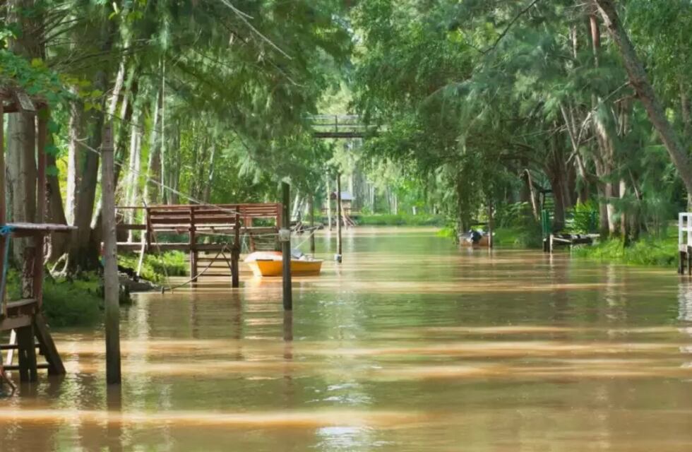 Estaba en el Delta navegando y se encontró con un increíble animal pocas veces visto