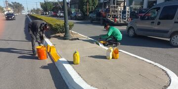 Tareas semanales realizadas por la Coordinación de Higiene Urbana de Tres Arroyos