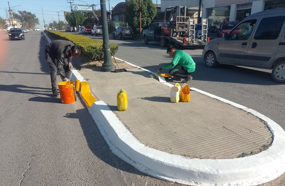 Tareas semanales realizadas por la Coordinación de Higiene Urbana de Tres Arroyos