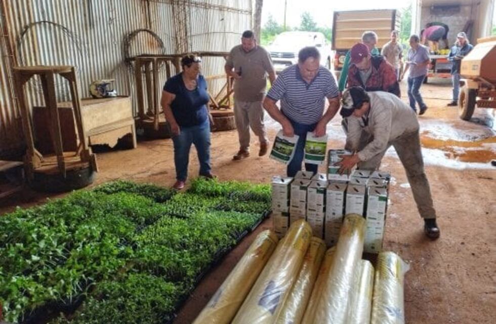Productores misioneros recibieron asistencia del IFAI tras violento temporal