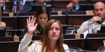 Abigail Gómez (Diputada Provincial).