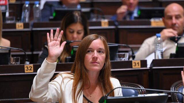 Abigail Gómez (Diputada Provincial).