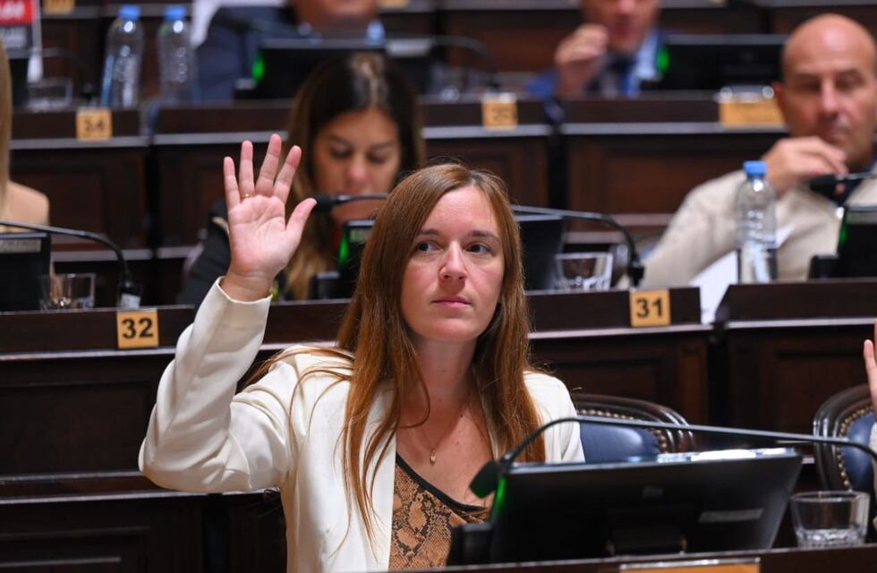 Presentan proyecto para que Fuerzas Policiales y de Seguridad bonaerenses utilicen pistolas Taser