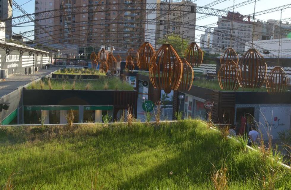 Arquitectura bioclimática: encuentro y capacitación sobre techos verdes